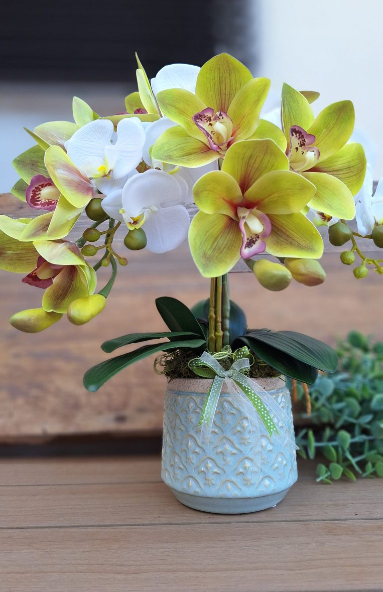 Orchidea 1