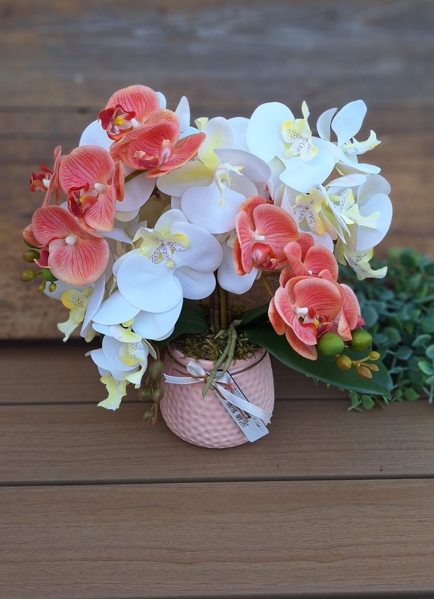 Orchidea 2