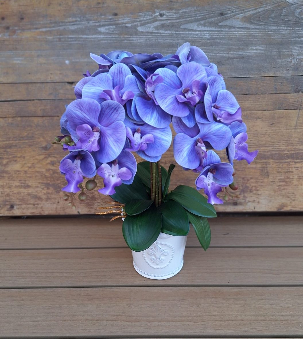 Orchidea 3